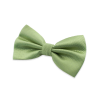 Nœud papillon vert clair