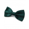 Noeud papillon vert foncé