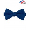 Noeud papillon bleu roi