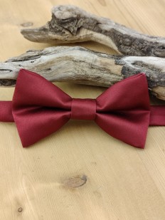 Noeud papillon bordeaux