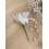 Boutonnière fleur de lys ivoire