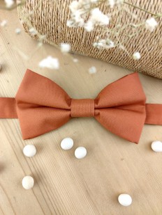 Noeud papillon terracotta