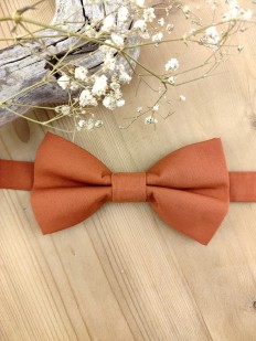 Noeud papillon double terracotta