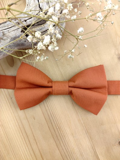 Noeud papillon double terracotta