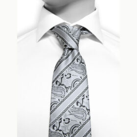 Paisley 15 - Cravate grise à motif cachemire et rayures