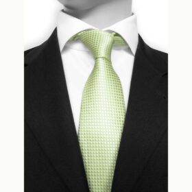 Solid 35 - Cravate unie de couleur vert pistache pâle