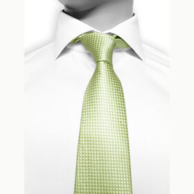 Solid 35 - Cravate unie de couleur vert pistache pâle