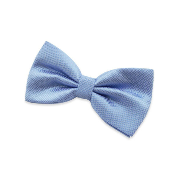 Nœud﻿ papillon bleu clair