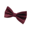Nœud﻿ papillon bordeaux