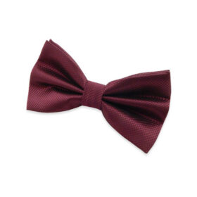 Nœud﻿ papillon bordeaux