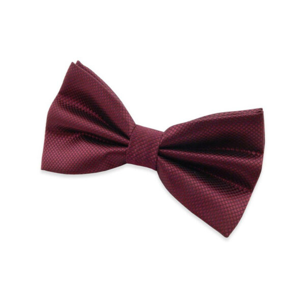 Nœud﻿ papillon bordeaux