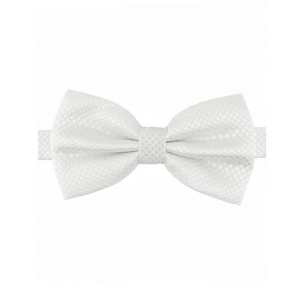 Nœud﻿ papillon blanc en Soie Coréenne