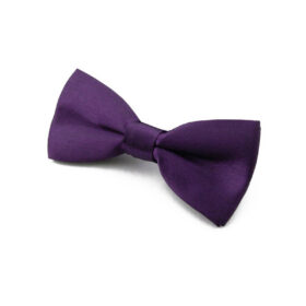Noeud papillon Enfant Violet foncé