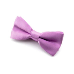 Nœud papillon Enfant mauve