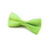 Noeud papillon Enfant vert cédro