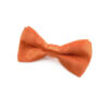 Nœud papillon Enfant Orange