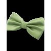 Nœud papillon vert clair
