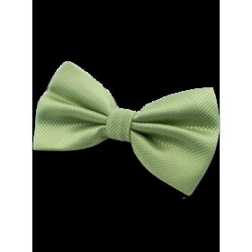 Nœud papillon vert clair