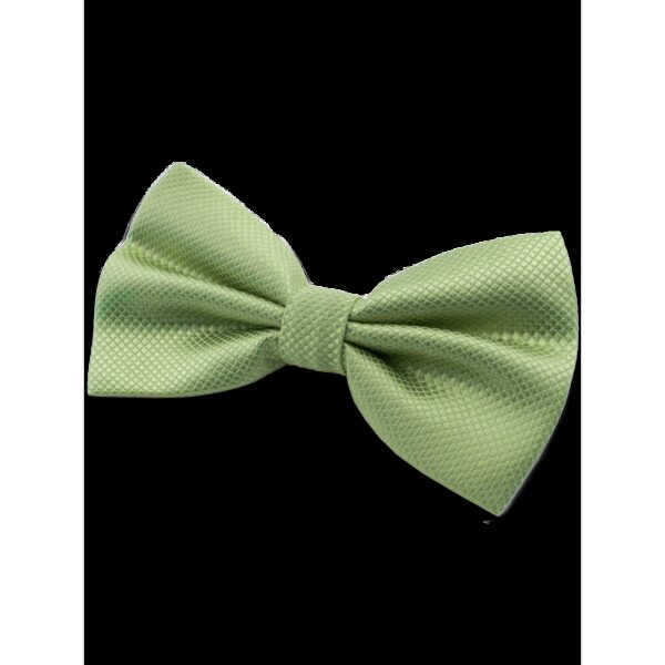 Nœud papillon vert clair