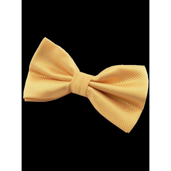 Nœud papillon jaune