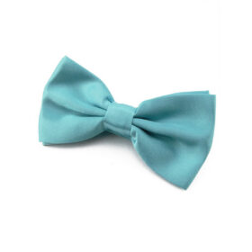 Noeud papillon Turquoise