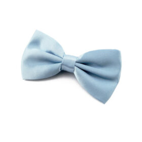 Noeud papillon bleu roi