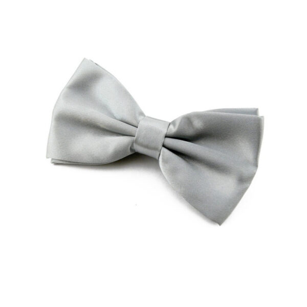 Noeud papillon gris argent