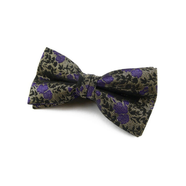 Nœud papillon noir et violet
