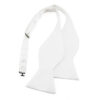 Noeud papillon blanc