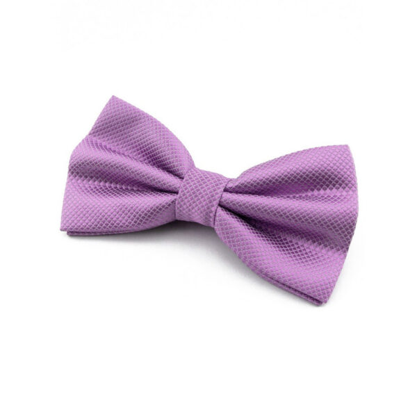 Nœud papillon violet clair