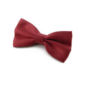 Noeud papillon bordeaux