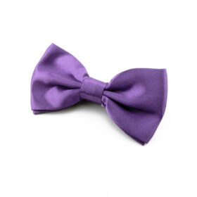 Noeud papillon violet