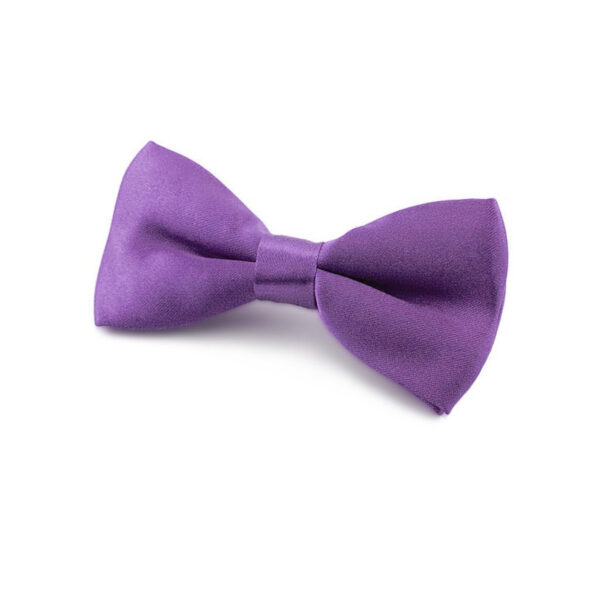 Nœud papillon Enfant violet