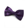 Nœud papillon violet foncé