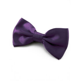 Nœud papillon violet foncé