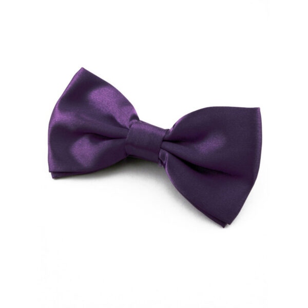 Nœud papillon violet foncé