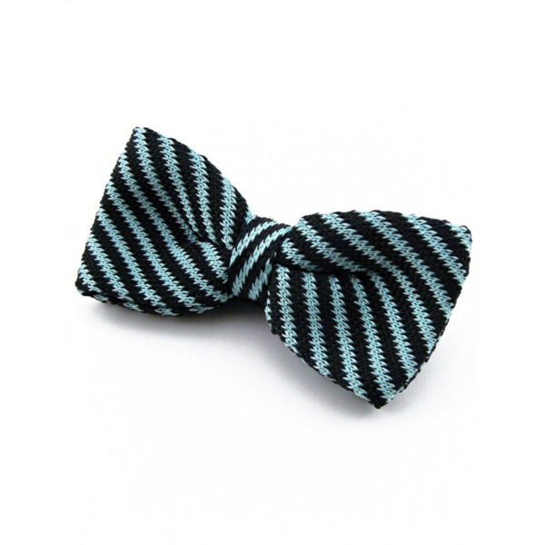 Noeud papillon Marine et Azur