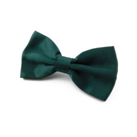 Noeud papillon vert foncé
