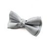 Noeud papillon Gris