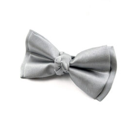 Noeud papillon Gris