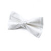 Noeud papillon Blanc