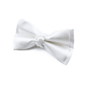 Noeud papillon Blanc