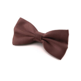 Noeud papillon marron