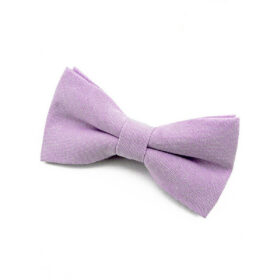 Noeud papillon double Mauve