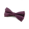 Noeud papillon double Prune