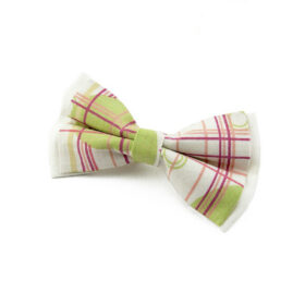 Noeud papillon style vitage