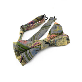 Noeud papillon multicolore