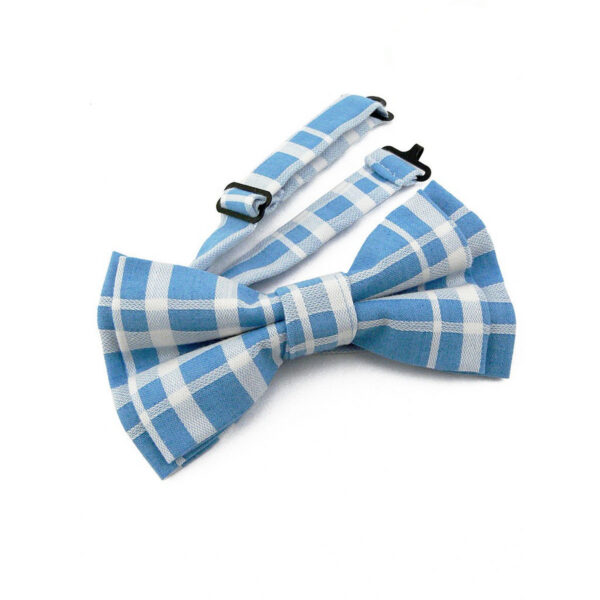 Noeud papillon bleu à carreaux