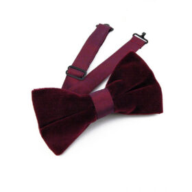 Noeud papillon bordeaux