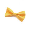 Noeud papillon Jaune